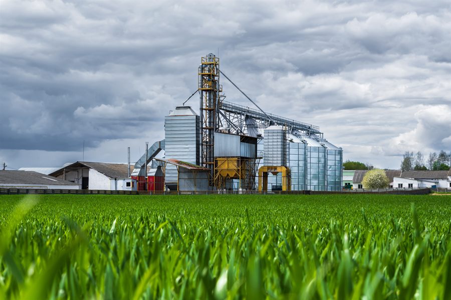 Steel bucket elevators and storage silos at a bulk handling facility